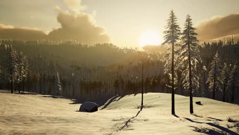 Majestätische-Winterlandschaft,-Die-Im-Sonnenlicht-Erstrahlt